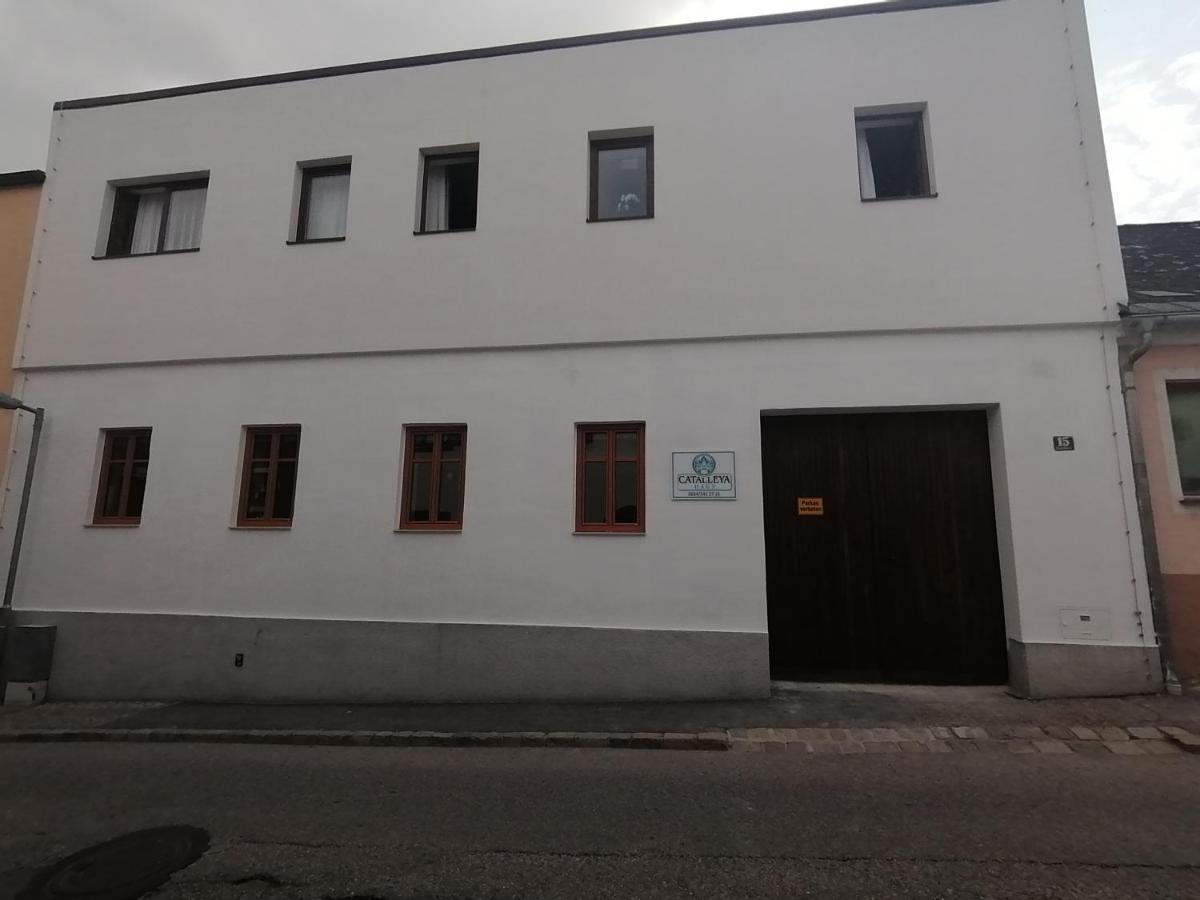 Catalleya Haus Langenlois Buitenkant foto